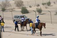 /international/UAE/2008PresidentsCup/Gallery/loop345best/thumbnails/IMG_5499.jpg