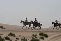/international/UAE/2008PresidentsCup/Gallery/loop345best/thumbnails/IMG_5521.jpg