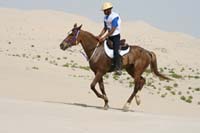 /international/UAE/2008PresidentsCup/Gallery/loop345best/thumbnails/IMG_5600.jpg