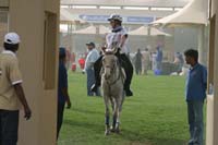 /international/UAE/2008PresidentsCup/Gallery/loop345best/thumbnails/IMG_5656.jpg