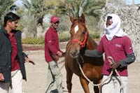/international/UAE/2008PresidentsCupJYR/gallery/Feb_08/thumbnails/IMG_0622.jpg