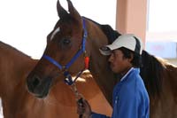 /international/UAE/2008PresidentsCupJYR/gallery/Feb_08/thumbnails/IMG_0645.jpg