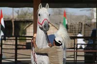 /international/UAE/2008PresidentsCupJYR/gallery/Feb_08/thumbnails/IMG_0650.jpg