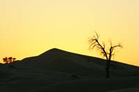/international/UAE/2008PresidentsCupJYR/gallery/Feb_08/thumbnails/IMG_0720.jpg