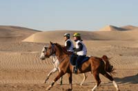 /international/UAE/2008PresidentsCupJYR/gallery_best_Feb09/thumbnails/IMG_0925.jpg
