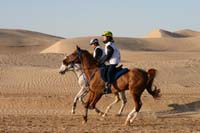 /international/UAE/2008PresidentsCupJYR/gallery_best_Feb09/thumbnails/IMG_0926.jpg