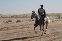 /international/UAE/2008PresidentsCupJYR/gallery_best_Feb09/thumbnails/IMG_0988.jpg