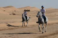 /international/UAE/2008PresidentsCupJYR/gallery_best_Feb09/thumbnails/IMG_1188.jpg