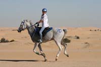 /international/UAE/2008PresidentsCupJYR/gallery_best_Feb09/thumbnails/IMG_1383.jpg