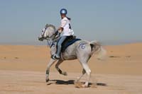 /international/UAE/2008PresidentsCupJYR/gallery_best_Feb09/thumbnails/IMG_1396.jpg