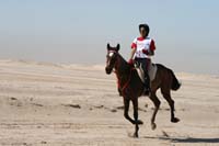 /international/UAE/2008PresidentsCupJYR/gallery_best_Feb09/thumbnails/IMG_1502.jpg