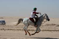 /international/UAE/2008PresidentsCupJYR/gallery_best_Feb09/thumbnails/IMG_1668.jpg
