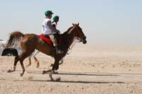 /international/UAE/2008PresidentsCupJYR/gallery_best_Feb09/thumbnails/IMG_1716.jpg