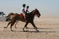 /international/UAE/2008PresidentsCupJYR/gallery_best_Feb09/thumbnails/IMG_1717.jpg
