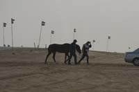 /international/UAE/2009PresidentsCup/gallery/02Fri/thumbnails/0902PCup_061.jpg