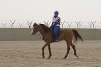 /international/UAE/2009PresidentsCup/gallery/02Fri/thumbnails/0902PCup_093.jpg
