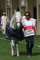/international/UAE/2009PresidentsCup/gallery/03Fri/thumbnails/0902PCup_101.jpg