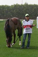 /international/UAE/2009PresidentsCup/gallery/03Fri/thumbnails/0902PCup_124.jpg