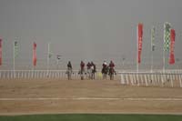 /international/UAE/2009PresidentsCup/gallery/03Fri/thumbnails/0902PCup_155.jpg