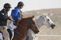 /international/UAE/2009PresidentsCup/gallery/03Fri/thumbnails/0902PCup_161.jpg