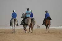 /international/UAE/2009PresidentsCup/gallery/03Fri/thumbnails/0902PCup_165.jpg