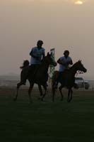 /international/UAE/2009PresidentsCup/gallery/04Sat/thumbnails/0902PCup_179.jpg