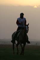 /international/UAE/2009PresidentsCup/gallery/04Sat/thumbnails/0902PCup_183.jpg