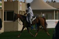 /international/UAE/2009PresidentsCup/gallery/04Sat/thumbnails/0902PCup_209.jpg