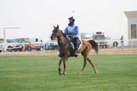 /international/UAE/2009PresidentsCup/gallery/04Sat/thumbnails/0902PCup_213.jpg