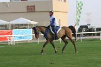 /international/UAE/2009PresidentsCup/gallery/04Sat/thumbnails/0902PCup_224.jpg
