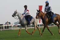 /international/UAE/2009PresidentsCup/gallery/04Sat/thumbnails/0902PCup_235.jpg