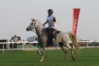 /international/UAE/2009PresidentsCup/gallery/04Sat/thumbnails/0902PCup_244.jpg
