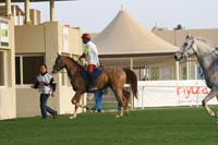 /international/UAE/2009PresidentsCup/gallery/04Sat/thumbnails/0902PCup_246.jpg
