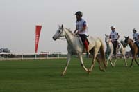 /international/UAE/2009PresidentsCup/gallery/04Sat/thumbnails/0902PCup_247.jpg