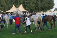 /international/UAE/2009PresidentsCup/gallery/04Sat/thumbnails/0902PCup_251.jpg