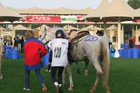 /international/UAE/2009PresidentsCup/gallery/04Sat/thumbnails/0902PCup_252.jpg