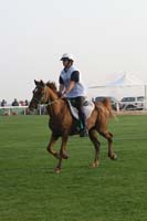 /international/UAE/2009PresidentsCup/gallery/04Sat/thumbnails/0902PCup_282.jpg