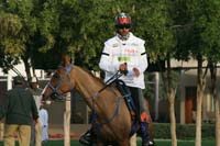 /international/UAE/2009PresidentsCup/gallery/04Sat/thumbnails/0902PCup_301.jpg
