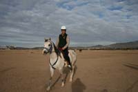 /international/USA/2007LasCruces/Gallery/VetIn/thumbnails/IMG_4556.jpg