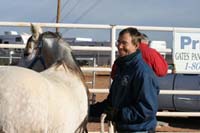 /international/USA/2007LasCruces/Gallery/VetIn/thumbnails/IMG_4614.jpg