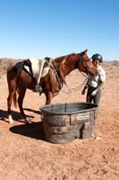 /international/USA/2007LasCruces/JohnNowellGallery/thumbnails/IMG_9210_1.jpg