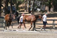 /international/USA/2009AERCChampionship/gallery/02/thumbnails/0909AERCNC_063.jpg