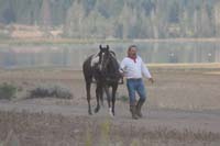 /international/USA/2009AERCChampionship/gallery/09/thumbnails/0909AERCNC_483.jpg