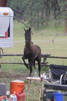 /international/USA/2009BanditSprings/gallery/01/thumbnails/0907BS_038.jpg