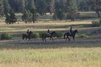 /international/USA/2009BanditSprings/gallery/02/thumbnails/0907BS_117L.jpg