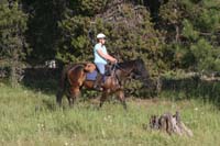 /international/USA/2009BanditSprings/gallery/02/thumbnails/0907BS_117V.jpg