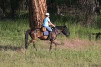 /international/USA/2009BanditSprings/gallery/02/thumbnails/0907BS_117Y.jpg
