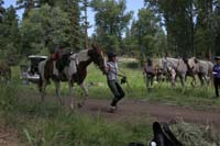 /international/USA/2009BanditSprings/gallery/04/thumbnails/0907BS_206.jpg