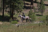 /international/USA/2009BanditSprings/gallery/05/thumbnails/0907BS_227T.jpg