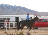 /international/USA/2009EMS/gallery/johnt/thumbnails/EasternMojave_EMS_146.jpg